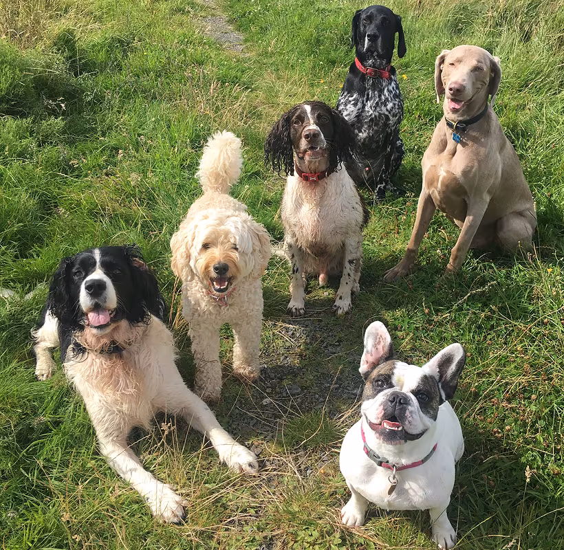 CGC Prep & Advanced Manners