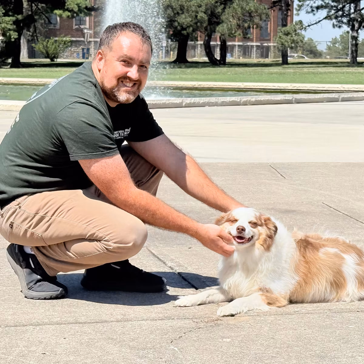 In-Home Dog Training in Grandview MO – Marquis Dog Training Dog training In-Home Dog Training in Grandview MO | Marquis Dog Training Kansas City