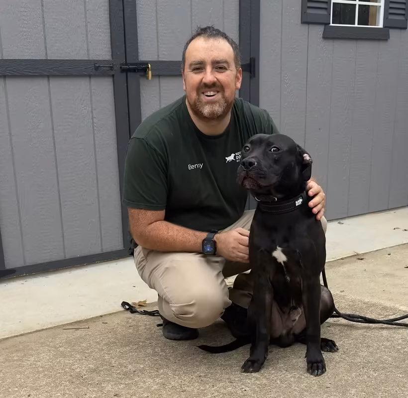 Puppy training – Marquis Dog Training puppy training classes kansas city