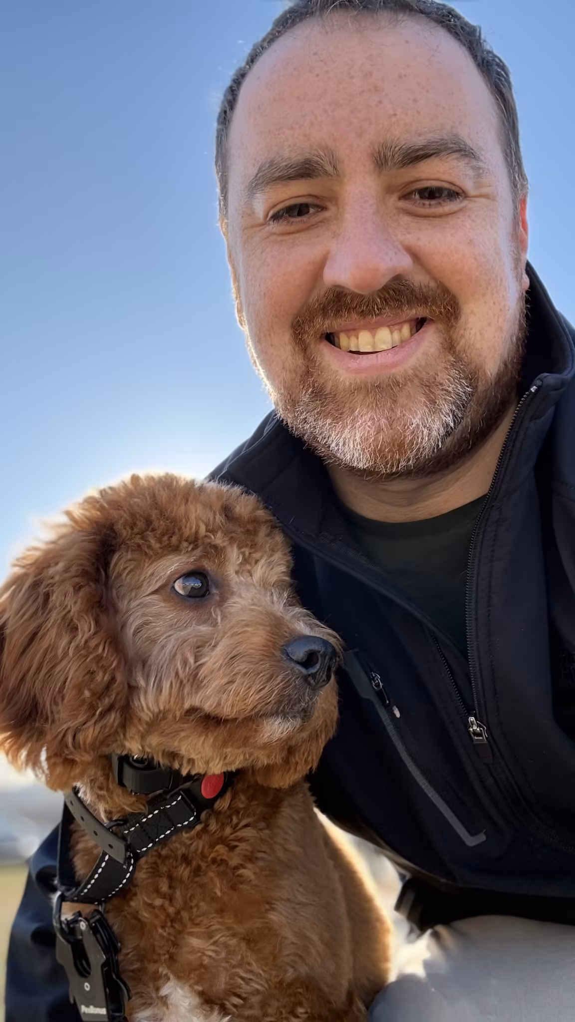 Puppy training – Marquis Dog Training Dog training Puppy training | Marquis Dog Training Kansas City