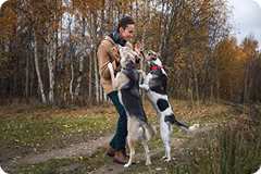 behavior modification dog training
