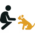 Our Trust-First Method – Marquis Dog Training Building safety