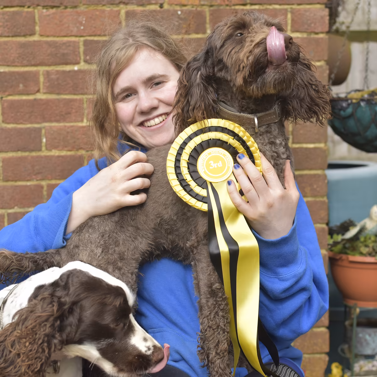 AKC Canine Good Citizen milestones