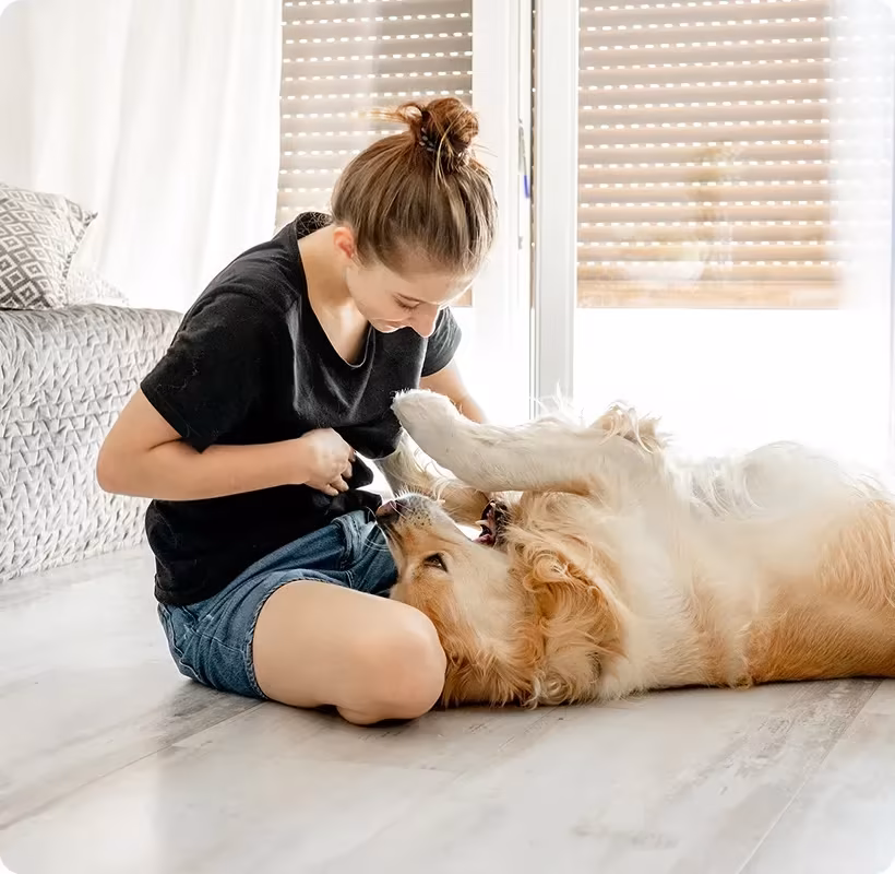 Best Dog Obedience Training Methods: What Works and Why – Marquis Dog Training Woman sitting on the floor playing with a Golden Retriever rolling on its back