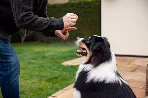 Anxiety Management Through Training
