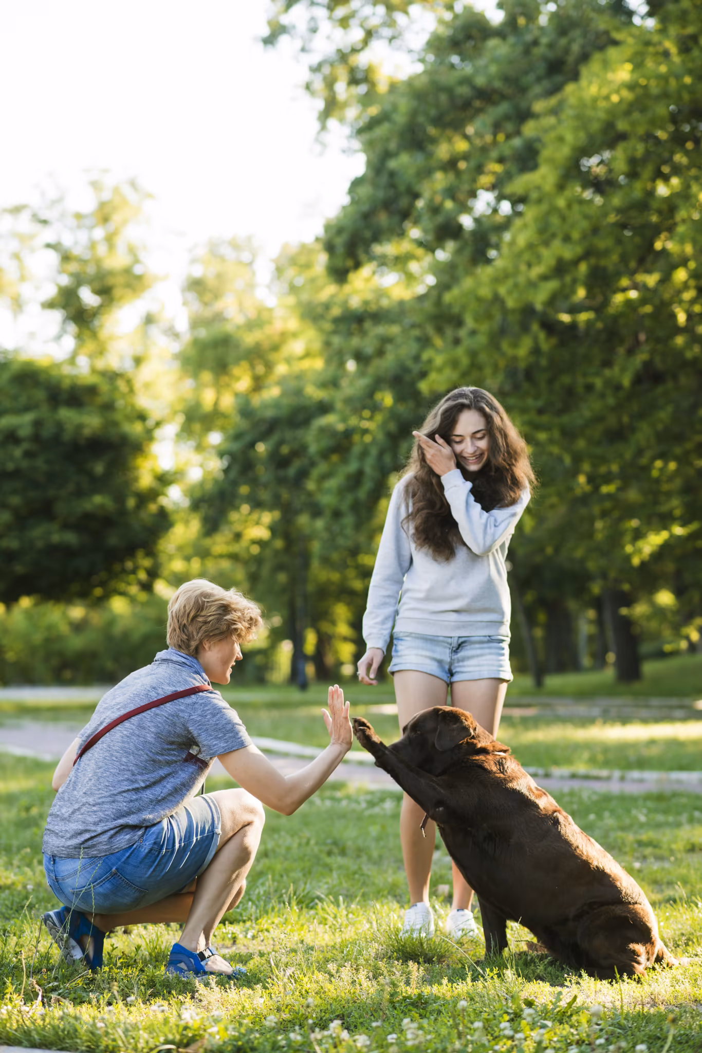 In-Home Dog Training in Grandview MO – Marquis Dog Training Woman and dog interacting in park. In-Home Dog Training in Grandview MO.