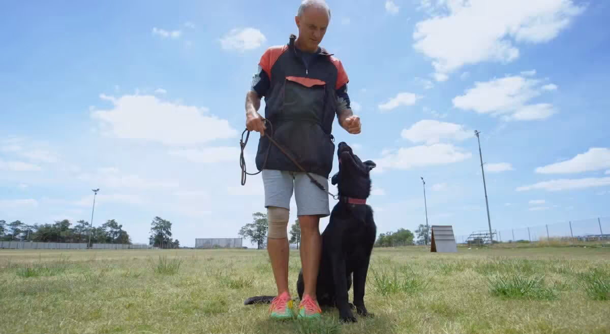 dog training kansas city