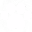 dog paw
