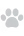 dog paw