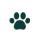 dog paw