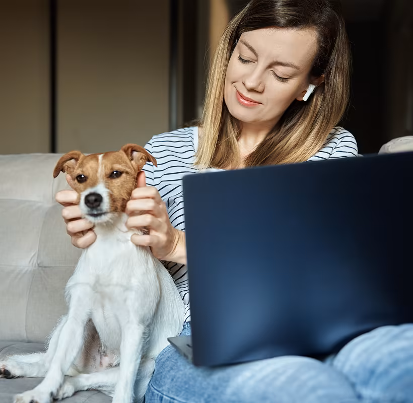 dog training