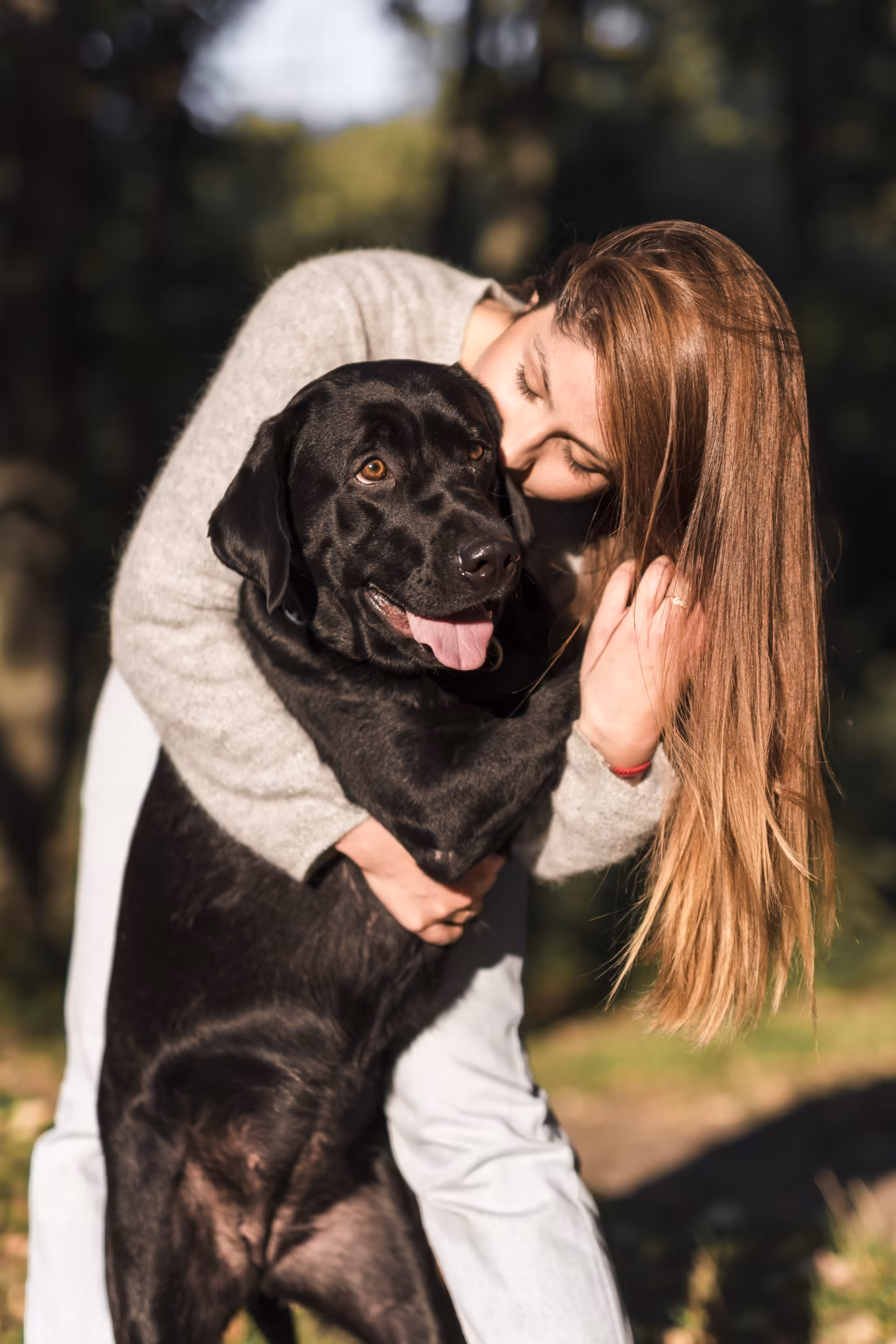 Jumping On People – Marquis Dog Training Stop Dog Jumping on People dog training