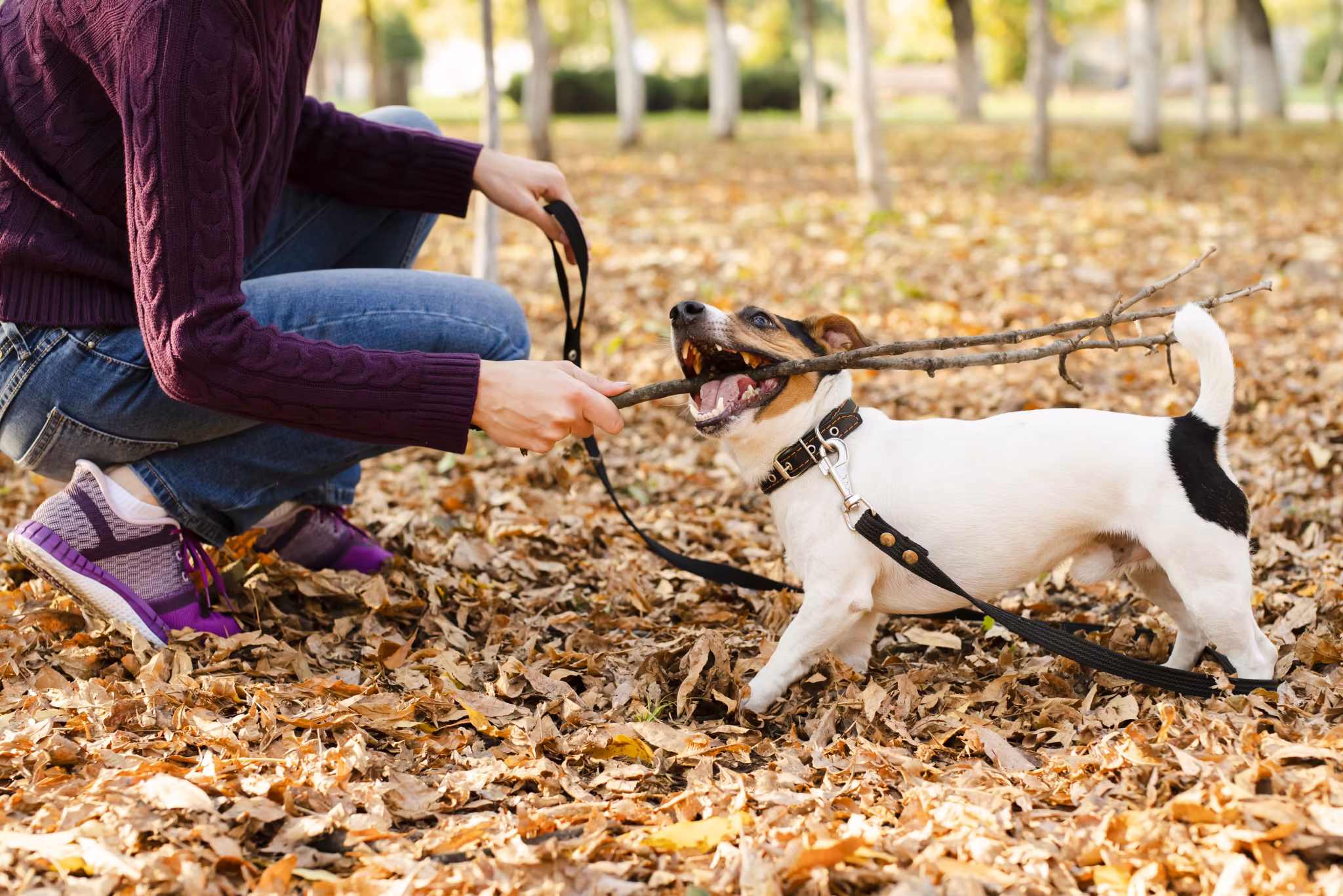 Sensory Exposure & Habituation

