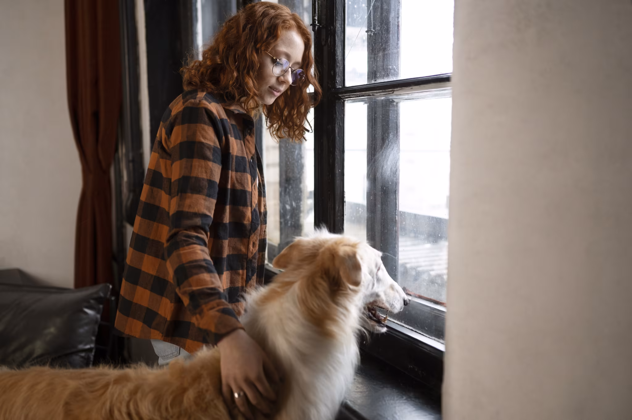 Dog Separation anxiety – Marquis Dog Training dog separation anxiety training