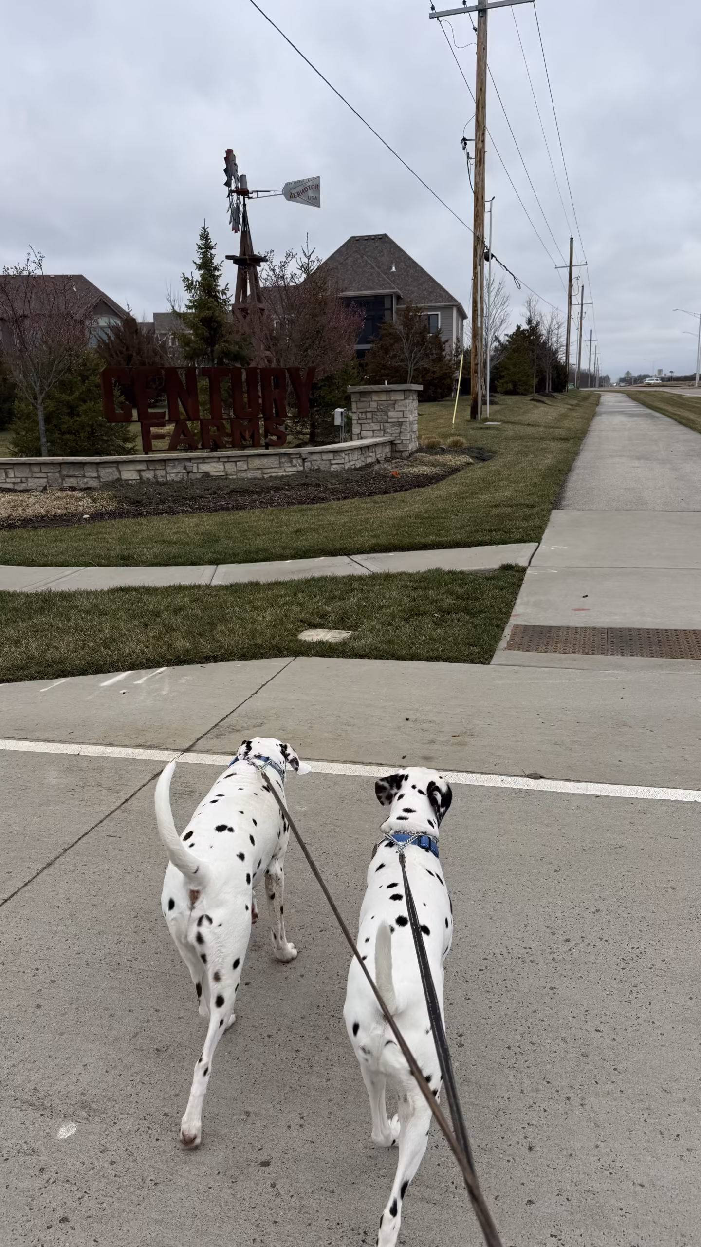 Obedience Training Session – Century Farms, Overland Park KS