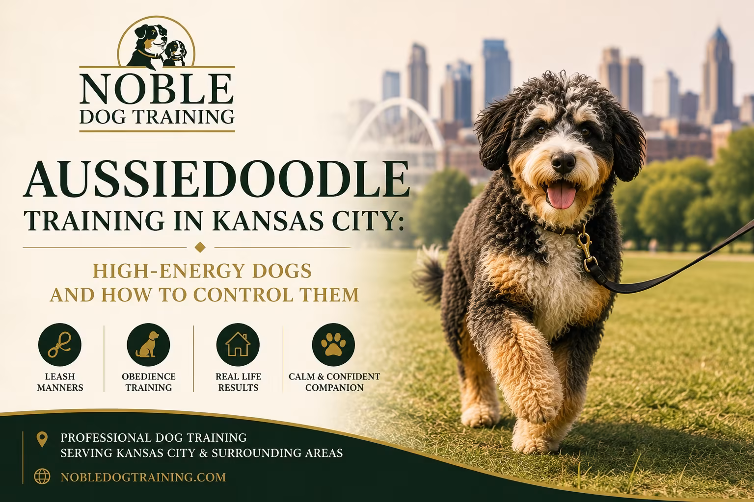 Graphic reading Aussiedoodle Training in Kansas City, High-Energy Dogs and How to Control Them, with an Aussiedoodle on a leash