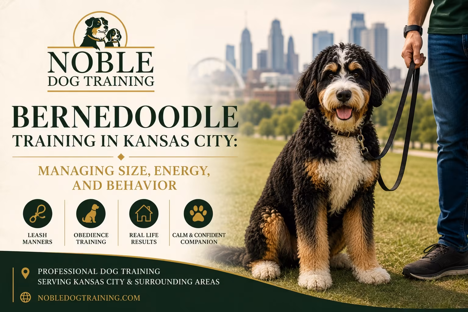 Graphic reading Bernedoodle Training in Kansas City, Managing Size, Energy and Behavior, showing a Bernedoodle on a lead with a city skyline