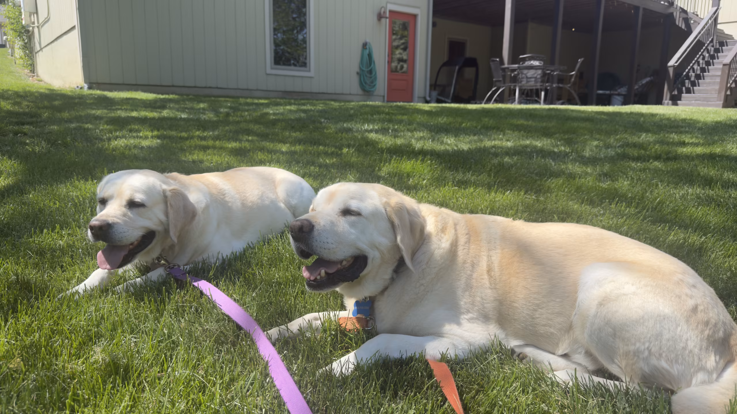 Fear & Reactivity Session – Kansas City MO