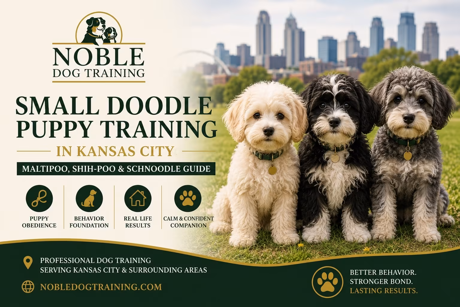 Graphic reading Small Doodle Puppy Training in Kansas City, a Maltipoo, Shih-Poo and Schnoodle guide, with three small doodle puppies