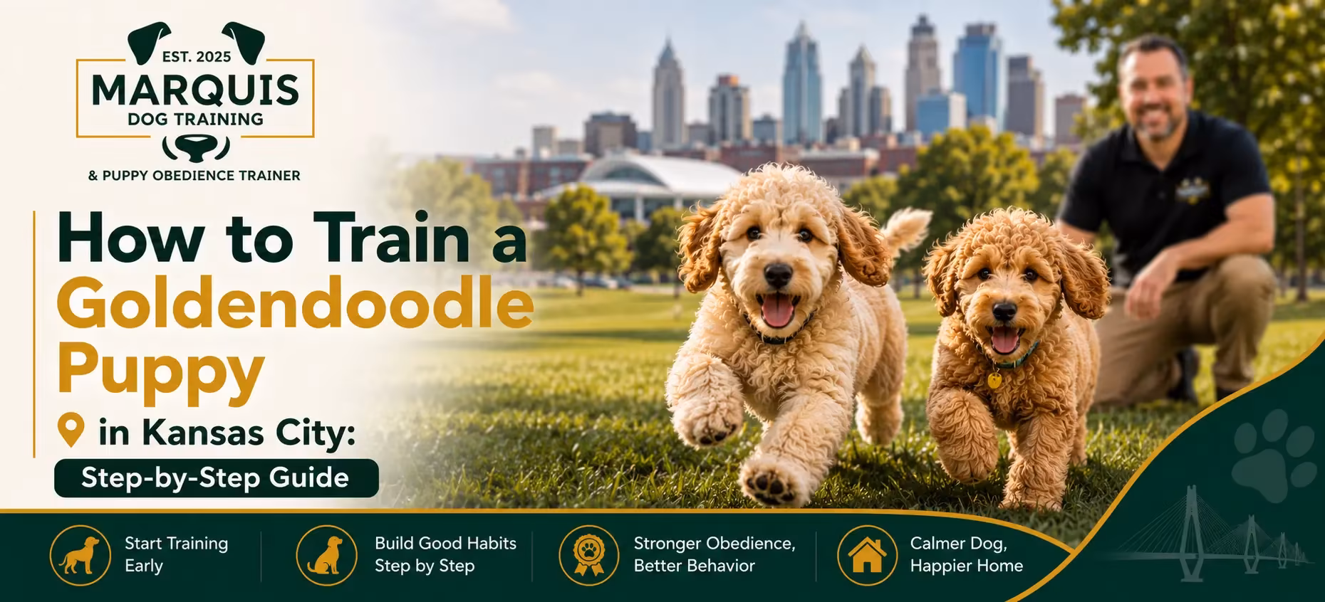 Train a Goldendoodle Puppy in Kansas City (Step-by-Step Guide)