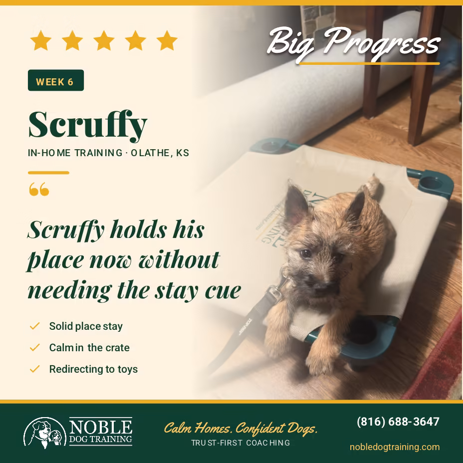 Scruffy Builds Place Command and Crate Calm in Olathe
